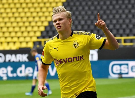 真正的决定 真正的决定