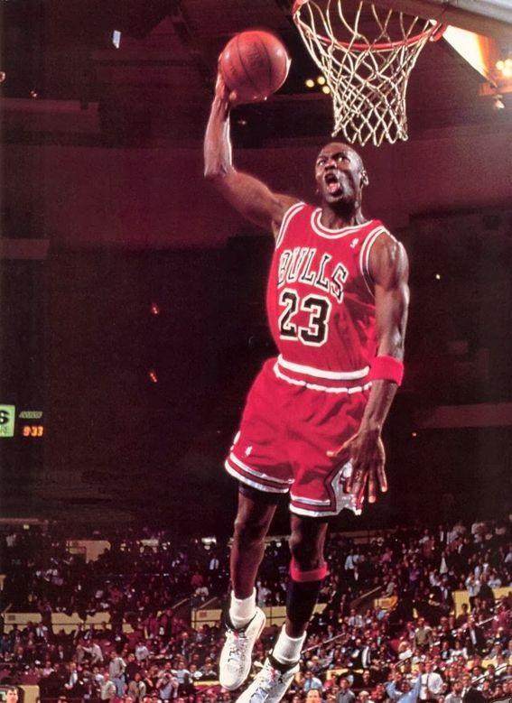 履历使其估 履历使其估